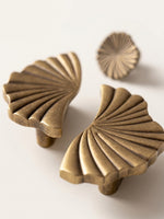 Close-up antique brass ginkgo fan knobs showing texture detail